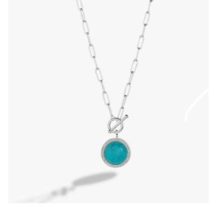 Alex + Ani turquoise toggle necklace